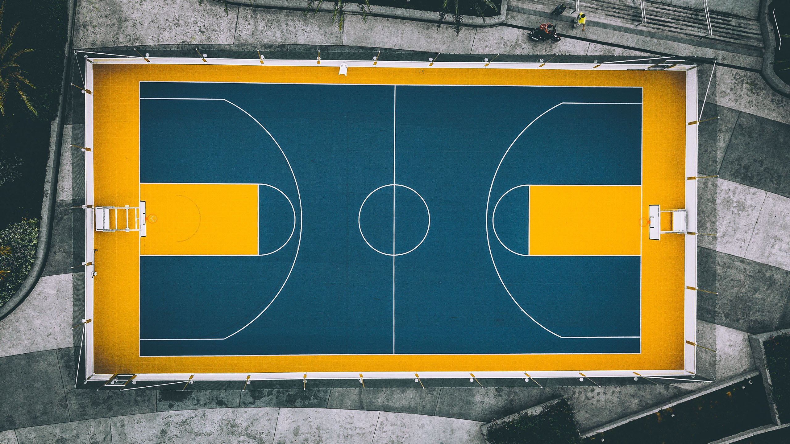 穆雷战术调整引爆湖人防线，大胜之夜引发全网热议！